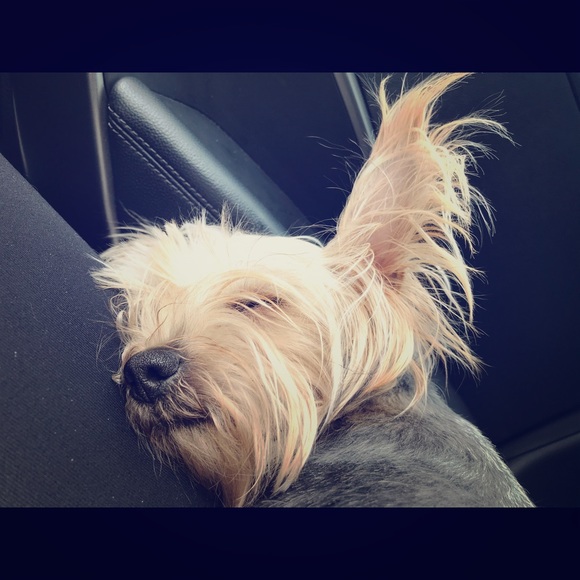 Meet your Posher, Jessica c - Picture 1 of 1